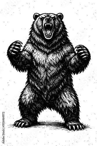 Formidable Roaring Bear Illustration: A Powerful Black and White Detailed Woodcut of a Ferocious Grizzly Standing on Its Hind Legs, Mouth Open, Showcasing Sharp Claws and Teeth, An Emblem of Wildernes