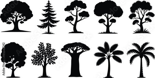 Large set of black tree silhouettes with various species including pine oak and palm trees isolated on white nd vector.