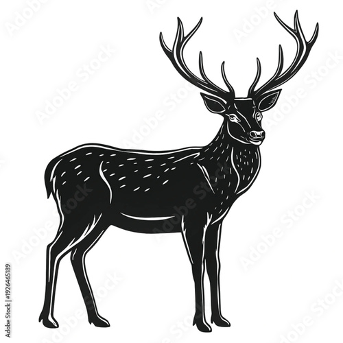 A majestic stag with large antlers stands in a profile view
