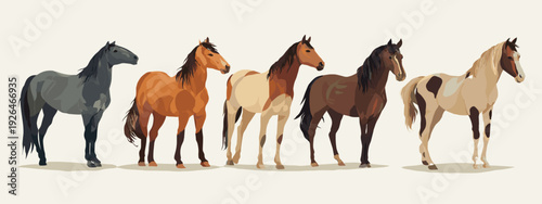 horses on a white background
