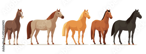 horses on a white background