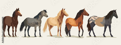 horses on a white background