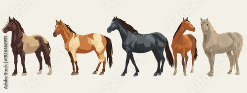 horses on a white background
