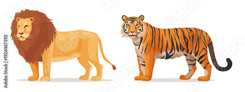 vector illustration of a lion and tiger flat style vector illustration isolated on white background
