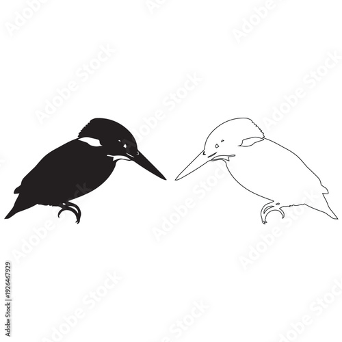 This is a generative AI created minimalist vector illustration of a kingfisher bird. The artwork features two versions a solid black silhouette and a detailed line art outline.