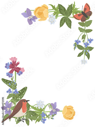 spring flowers, bird and butterfly, vector drawing wild plants and robin at white background, germander speedwell, violet and globeflower, hand drawn botanical illustration
