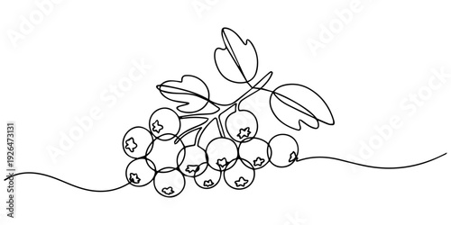 ripe and unripe berries with leaves continuous one line drawing, Simple one continuous line drawing of fresh blueberries on a delicate vine with leaves, ideal for healthy food promotion, natural produ