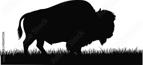 American bison silhouette standing on grass field, wild buffalo black vector illustration isolated wildlife prairie animal design