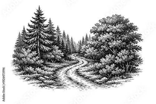 Black and white engraving of a winding forest path, featuring tall pine and deciduous trees, lush bushes, and intricate natural textures, rendered in a vintage stipple and cross-hatch style. A truly s