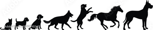 Domestic animals silhouette set, cat dog horse and different breeds isolated on white background, detailed flat vector illustration