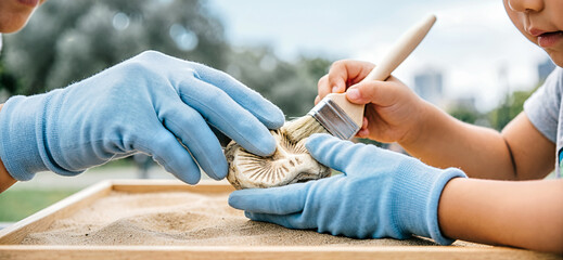 Gloved hands brushing a fossilized skull in a sandy tray. Child learning about paleontology and excavation. Wide banner