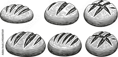 artisan bread collection hand drawn rustic loaves with crusty texture and scoring patterns vintage bakery illustration