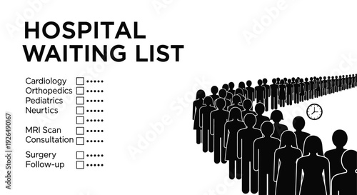 The Concept of Hospital Waiting Lists and Patient Queues.