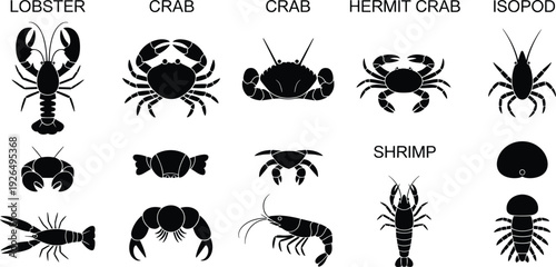 Collection of black silhouettes featuring labeled marine crustaceans including lobster crab hermit crab shrimp and isopod species isolated on a clean white background for design