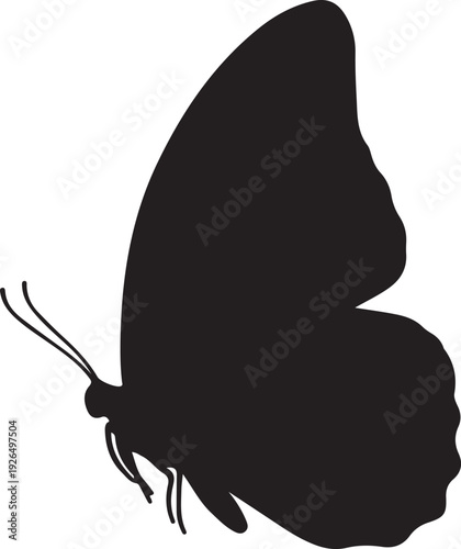 Elegant black silhouette of a butterfly with detailed wings and antennae, isolated on a white background, symbolizing nature and transformation.