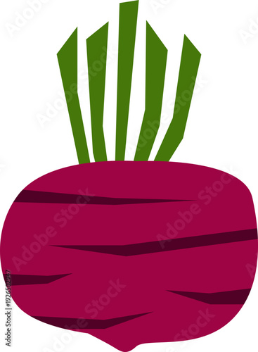 Healthy Farm Vegetable Vector
