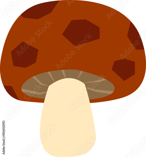 Healthy Farm Vegetable Vector