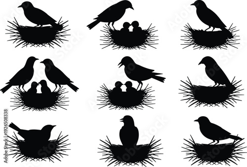 Black bird silhouettes in nests with chicks birds