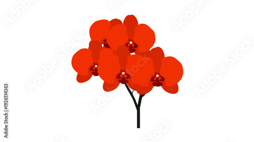 Simplified illustration of a flowering plant. Blossoms are in shades of red-orange, with green stem on white