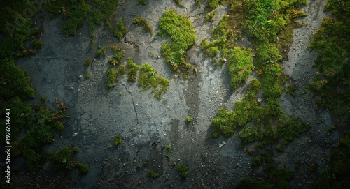 Wallpaper Mural Timeworn concrete texture showcasing vivid green moss growth for textured backdrop concept Torontodigital.ca