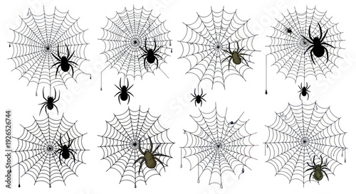 Spiders and Cobwebs Collection: Halloween Icons and Symbols