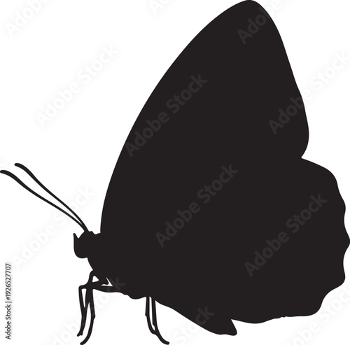 Whisk_3df88e79988284b88c34cb95a8aa9fd6dr_traced