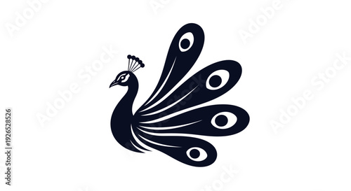 Elegant peacock illustration showcasing vibrant plumage and majestic feathers in a simple graphic design