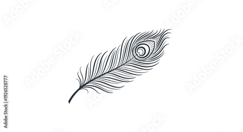 фотографія A detailed illustration of a single peacock feather viewed from a close-up perspective