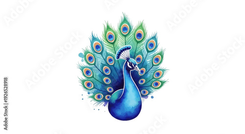 Majestic Peacock Displaying Vibrant Plumage from a Front Viewpoint, Showcasing Feathers and Beauty in a Serene Environment