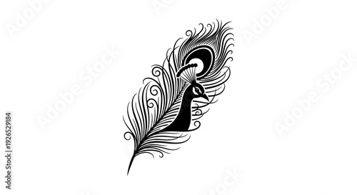 An elegant peacock feather illustration with intricate designs and swirling patterns from a close-up viewpoint.