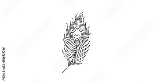 A delicate feather illustration with intricate details, showcasing elegance and beauty in a minimalist style