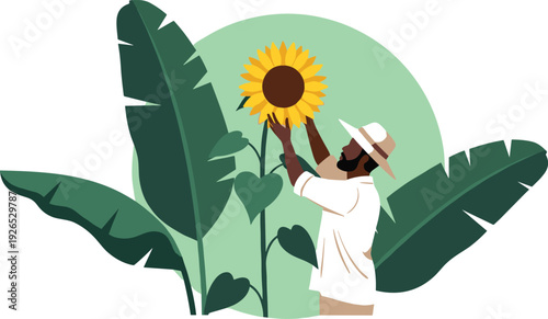 Farmer harvesting a sunflower surrounded by tropical leaves, flat illustration on white background