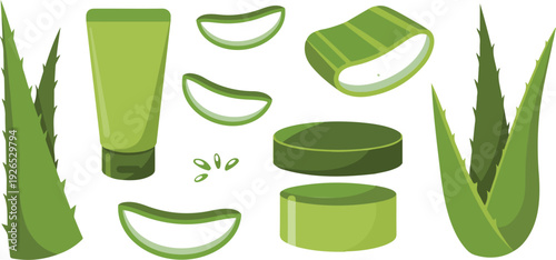 Aloe Vera Skincare Vector Set  Natural Herbal Cosmetic Elements