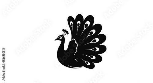 Elegant peacock illustration with majestic feathers, a symbol of pride, displayed against a clean background from a front viewpoint