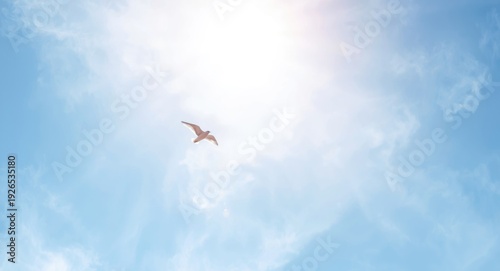 Pentecost Sunday image with a bird soaring high over a luminous sky background