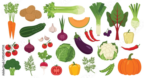 Variety of colorful fresh vegetables and fruits arranged on a white background