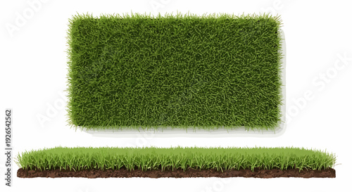 Vibrant Green Grass Patches with Soil Cross-Section on Clean White Background