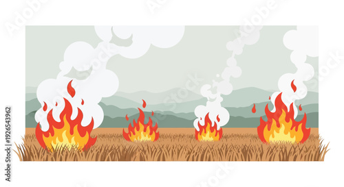 Wildfires burn across a grassy field beneath a cloudy sky