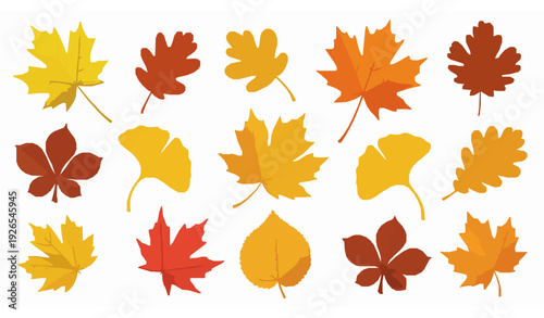 Creative isolated autumn leaves vector set with colorful seasonal foliage designs