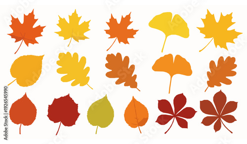 Creative isolated autumn leaves vector set with colorful seasonal foliage designs