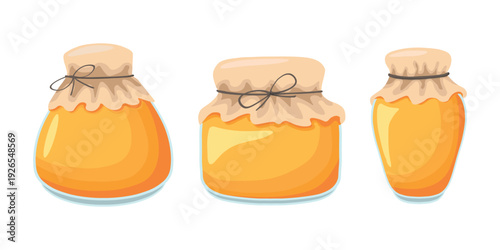 Glass Honey Jars with Fabric Lid Isolated Vector Set