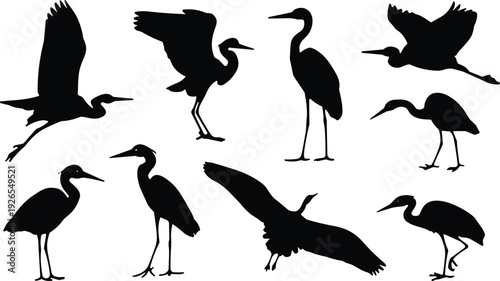 Set of black heron and crane bird silhouettes in various flying and standing poses for nature conservation wetland wildlife and swamp decoration