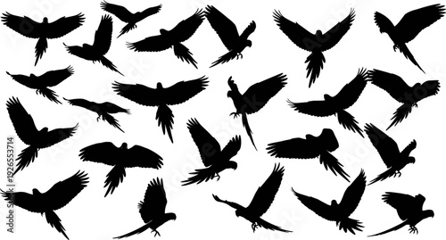 Flying parrot silhouettes, bird silhouette collection, tropical wildlife, parrot vector set, black silhouette illustration design pack collecti