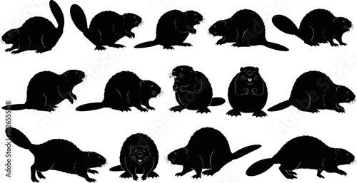 Beaver silhouette set, river beaver vector collection, wildlife animal illustration, black silhouette design pack collection