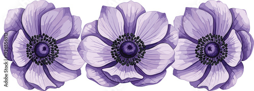 Elegant Purple Anemone Flower Row Vector for Wedding Invitations, Floral Borders, Spring Garden Backgrounds, Beauty Product Packaging, and Romantic Greeting Card Designs