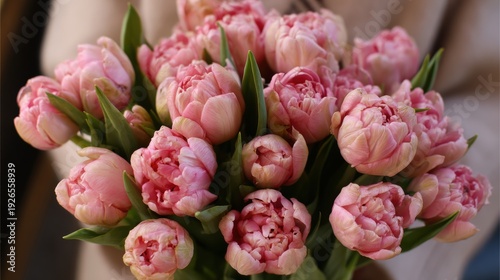 A close-up of a bouquet of pink peony tulips with lush green leaves, showcasing their delicate petals and vibrant colors.