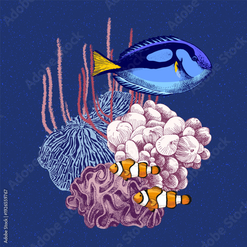 Hand drawn coral reef. Underwater life sketch
