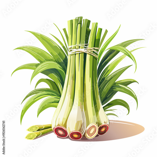 Bunch of fresh green leeks tied together, showcasing their white stalks and green leaves from a front viewpoint