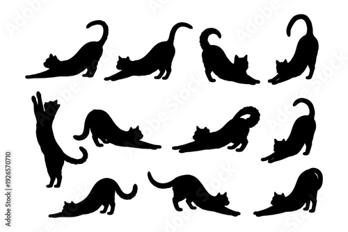 Silhouette of cats in various stretching poses displaying graceful movements.