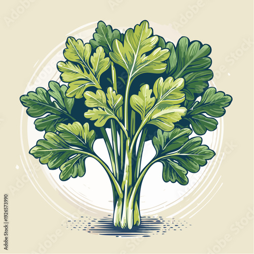 Illustration of a fresh broccoli plant with green leaves from a front viewpoint